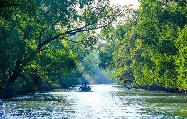 Environment & Climate Change